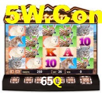 65Q