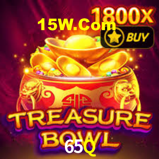 65q.com